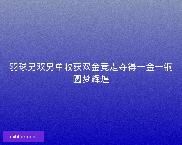 羽球男双男单收获双金竞走夺得一金一铜圆梦辉煌